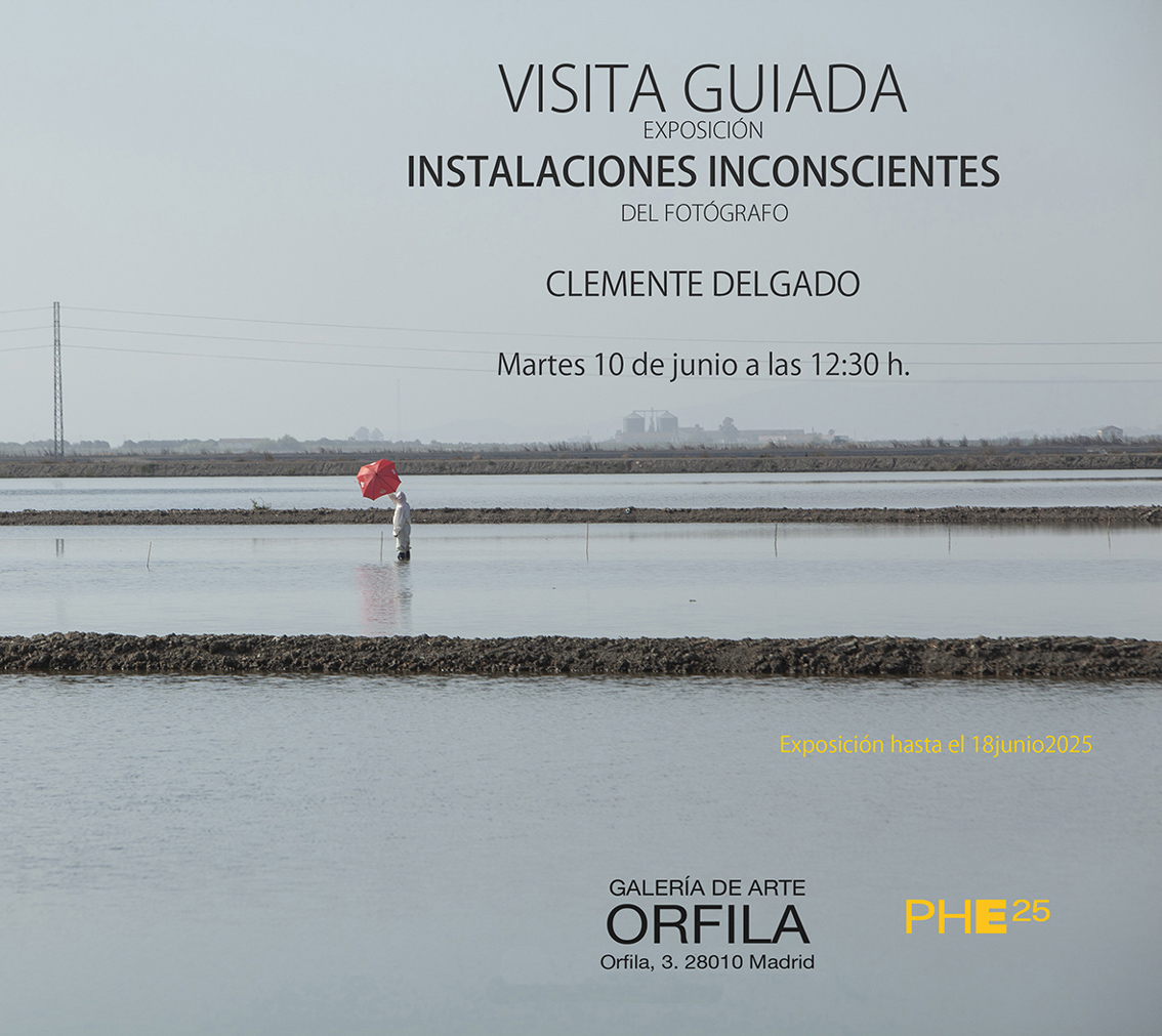 Visita guiada Clemente Delgado baja